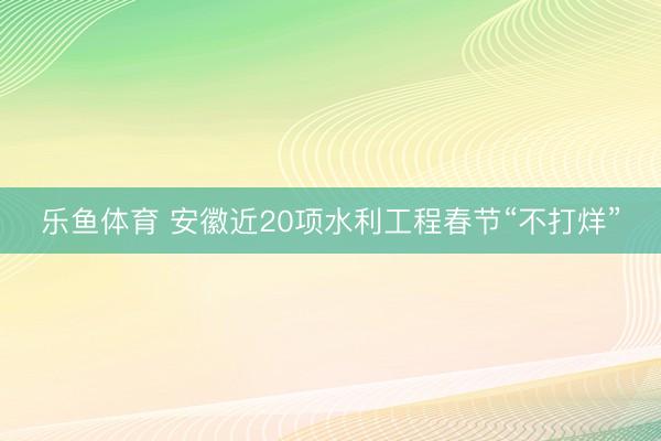 乐鱼体育 安徽近20项水利工程春节“不打烊”