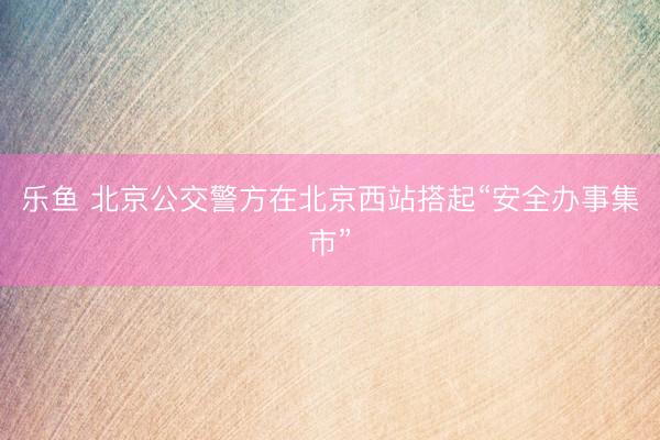 乐鱼 北京公交警方在北京西站搭起“安全办事集市”