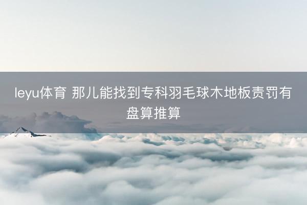 leyu体育 那儿能找到专科羽毛球木地板责罚有盘算推算
