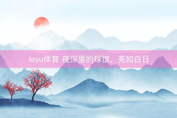 leyu体育 夜深里的球馆,亮如白日